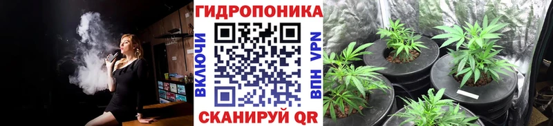 Купить наркотик аптеки Северодвинск Галлюциногенные грибы  Codein  Кокаин  Меф  ГАШ  Каннабис 