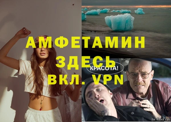 стаф Алексеевка