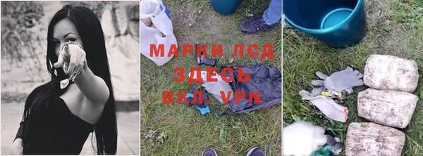 гашик Липки