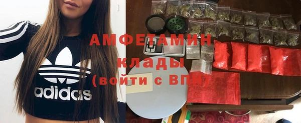 крисы Алексин